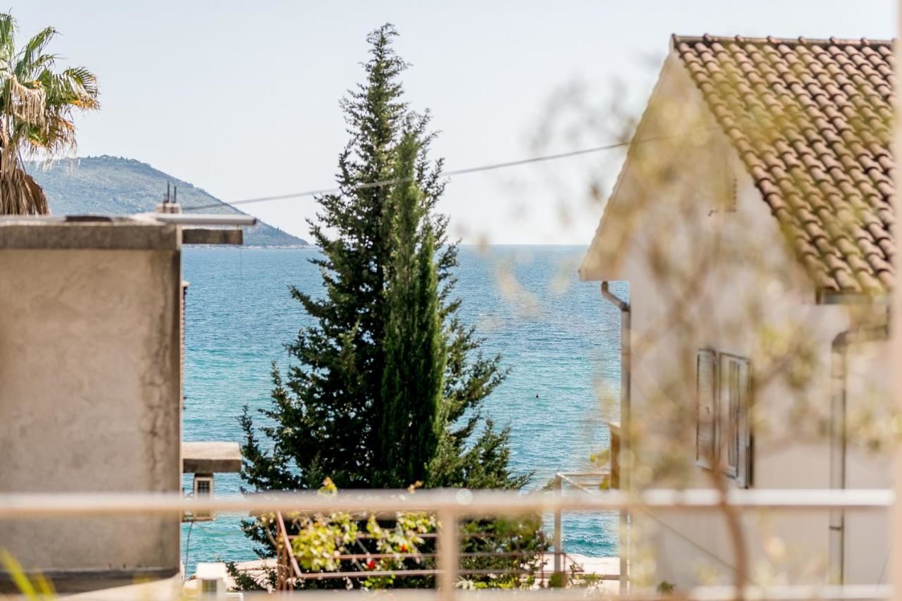 Апартаменты Apartments Maslina Херцег-Нови